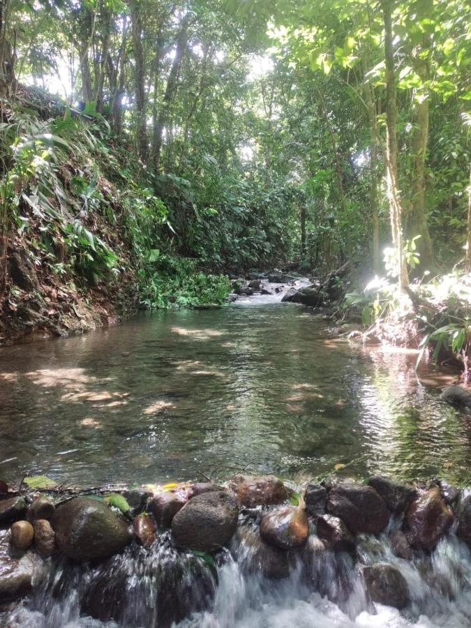 La Fortuna Natural Green Zewnętrze zdjęcie