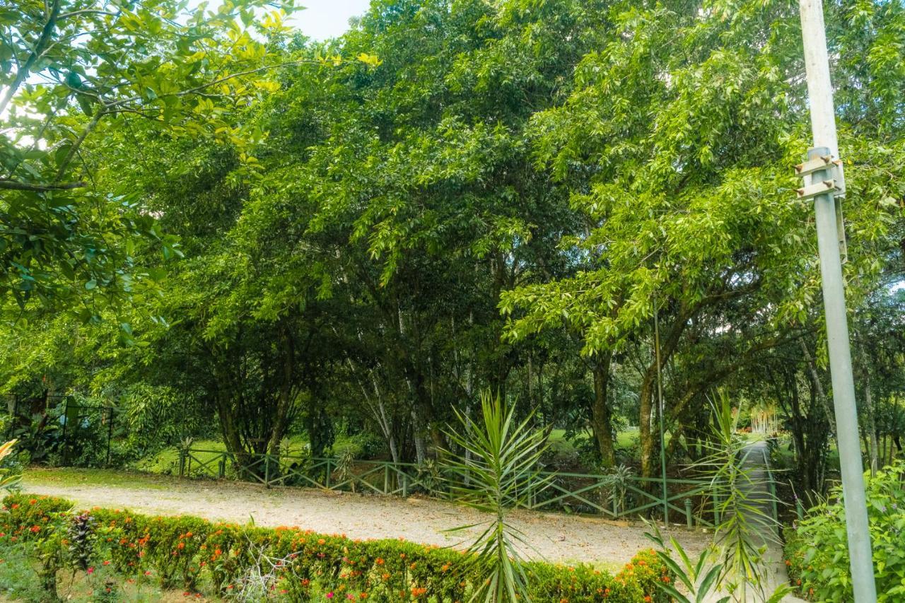 La Fortuna Natural Green Zewnętrze zdjęcie